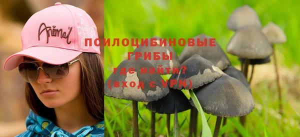 мдпв Верхний Тагил
