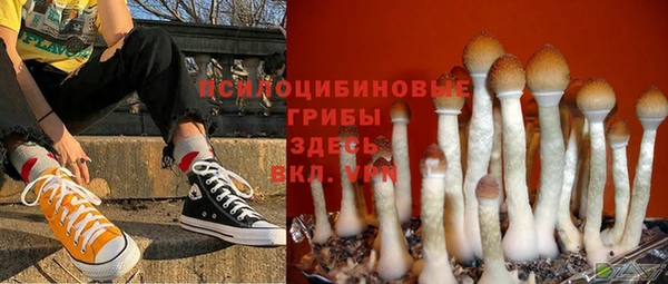 бутират Осташков