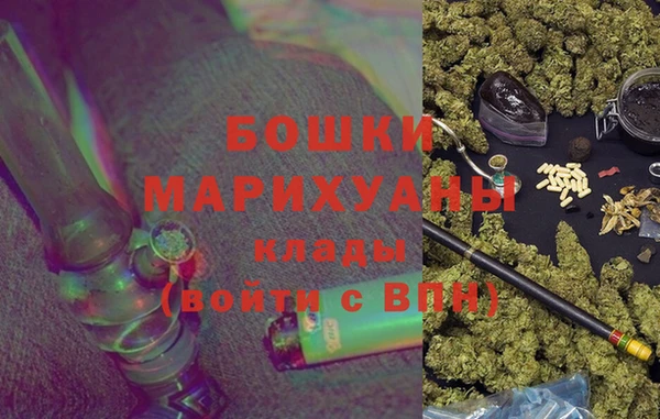 ПСИЛОЦИБИНОВЫЕ ГРИБЫ Болохово