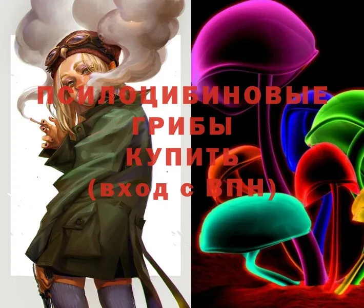 Галлюциногенные грибы Magic Shrooms  Большой Камень 