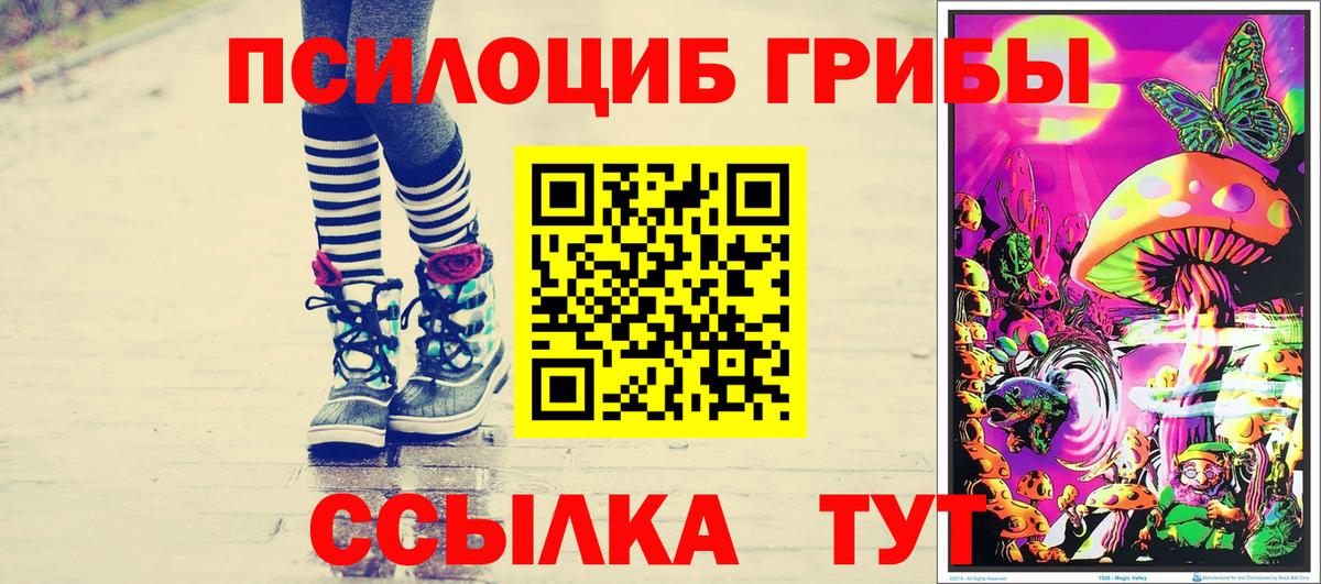 Псилоцибиновые грибы Magic Shrooms Большой Камень