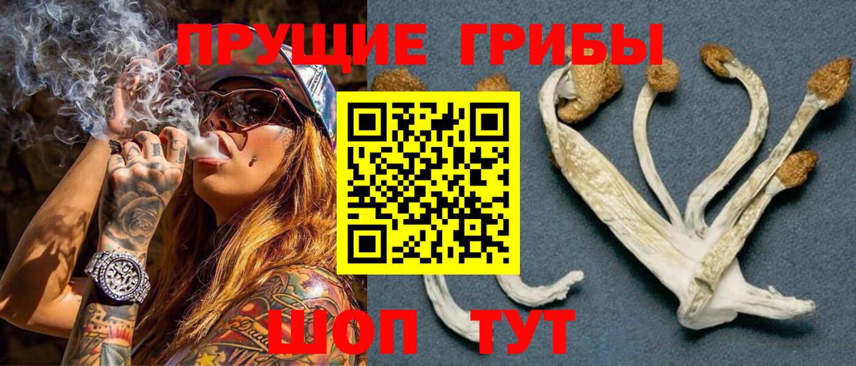 Галлюциногенные грибы GOLDEN TEACHER Большой Камень
