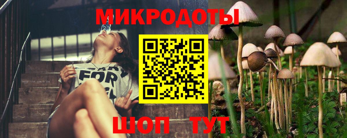 Большой Камень  Галлюциногенные грибы ЛСД  где купить наркотик  Вход с VPN 